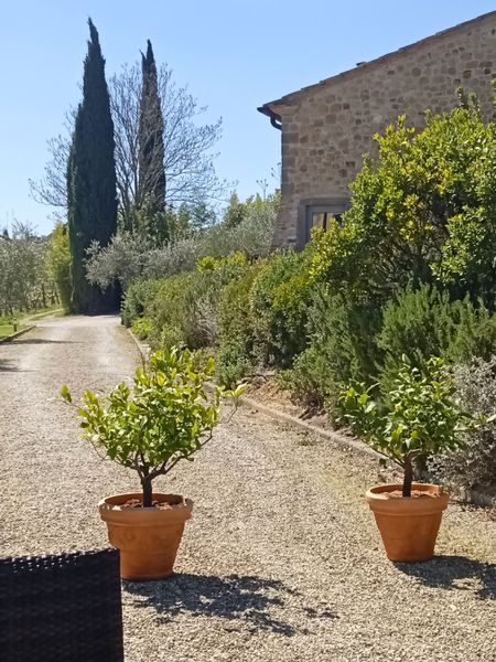 info_monic's tweet photo. #SanGimignanoWinery
#SanGimignanoPrivateTours https://t.co/1RatU3FUif
