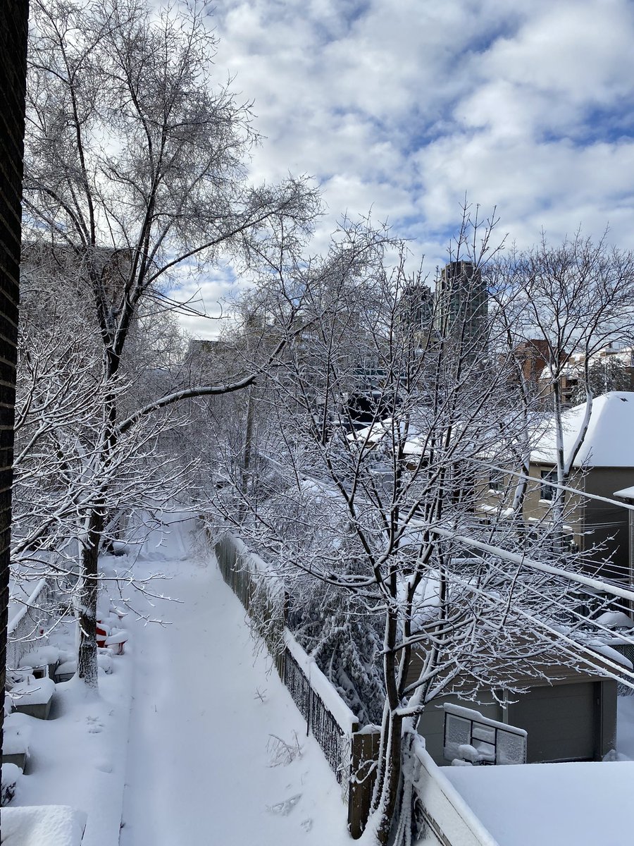 Bilton Laneway tweet media