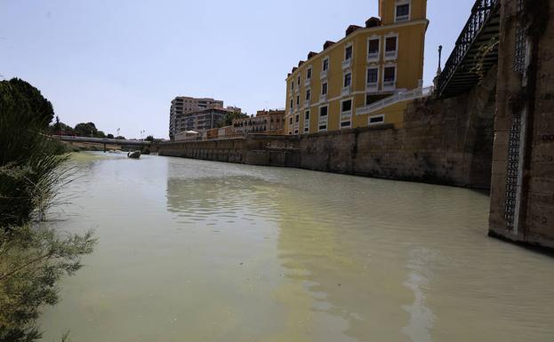 huermur's tweet photo. El estado del cauce en el tramo urbano del río Segura a su paso por la ciudad «se comporta más como una laguna que como un río». Y lo dice la propia @chsriosegura en sus informes.
#Murcia se merece un río sano y natural #MedioAmbiente #Agua #RiosConVida https://t.co/riMBqI7Mjj