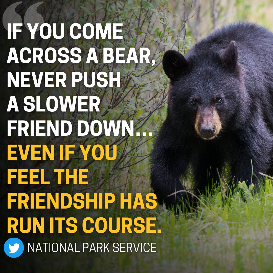 Never push a slower friend down if you come across a bear, park service  says