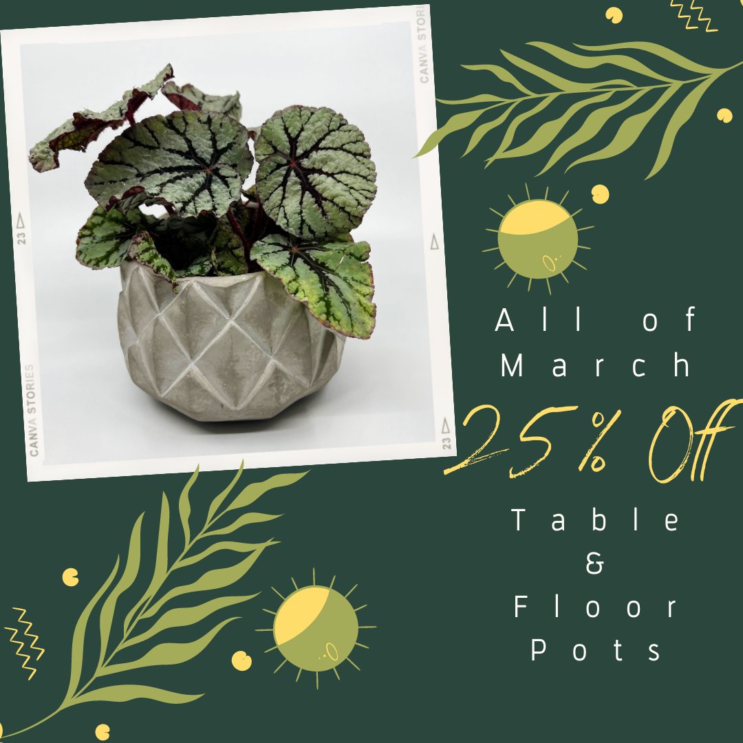 Articulture Designs tweet media