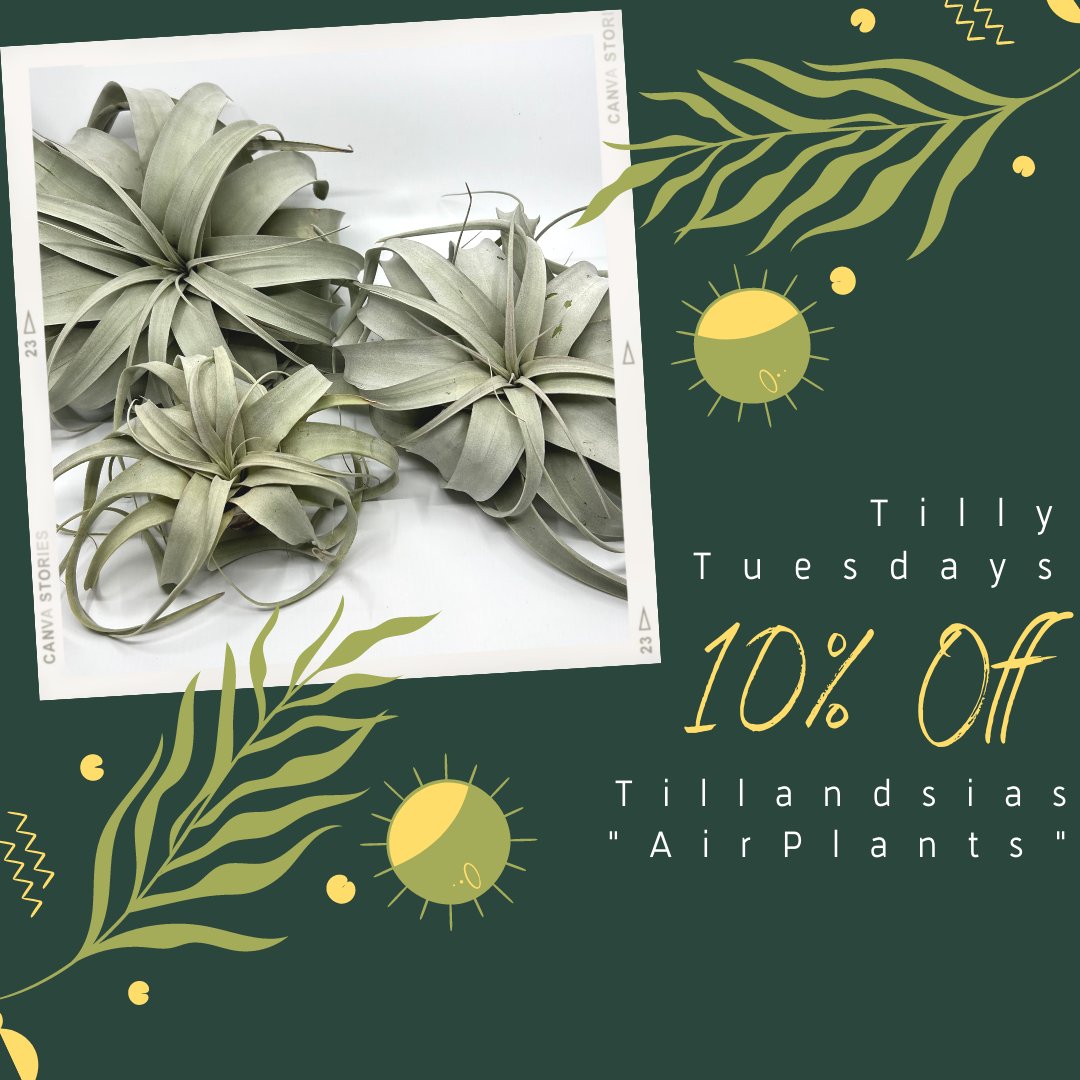 Articulture Designs tweet media