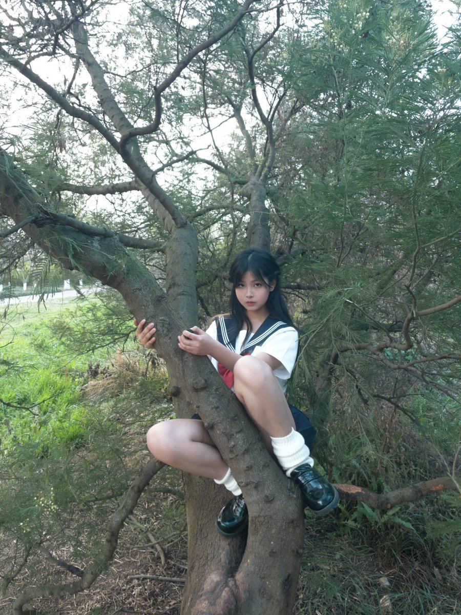 何日树🌲 https://t.co/XJzKdgcp4l