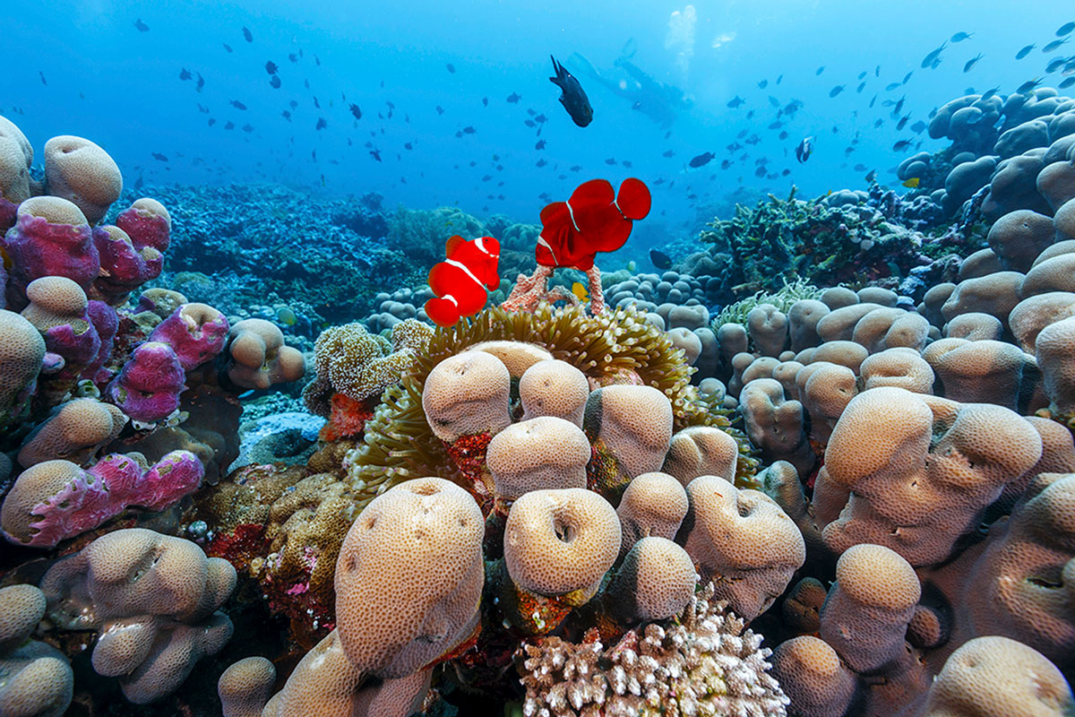 Where do you want to go? - mailchi.mp/ecdivers/lets-…