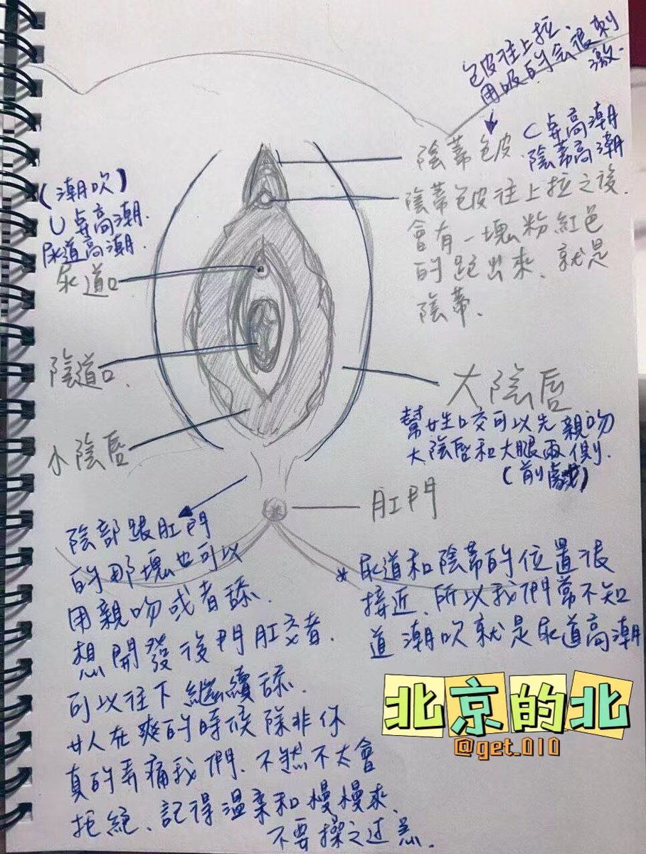 南北 tweet media