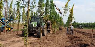 Dinsdag 7 maart #duurzaam en #circulair bomen planten, ook in de stad. Kies ook voor een innovatief bomenbeleid. Kom naar workshop bij <a href="/UdenhoutTrees/">BoomkwekerijUdenhout</a> met @Bomenbank <a href="/Eastecke/">Dick Oosthoek</a>. #circualair #cirhttps://groenkeur.nl/bomen-duurzaam-en-circulair-inkopen/