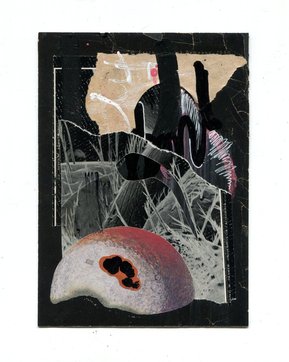 nantayoth tweet media