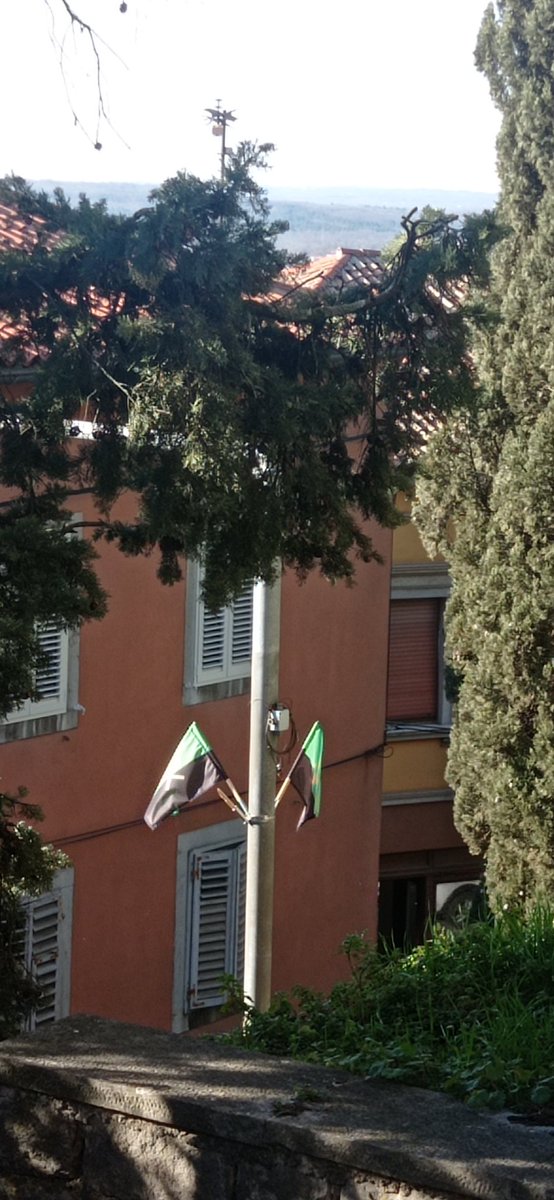 Sandra_Ri051's tweet image. #Labin