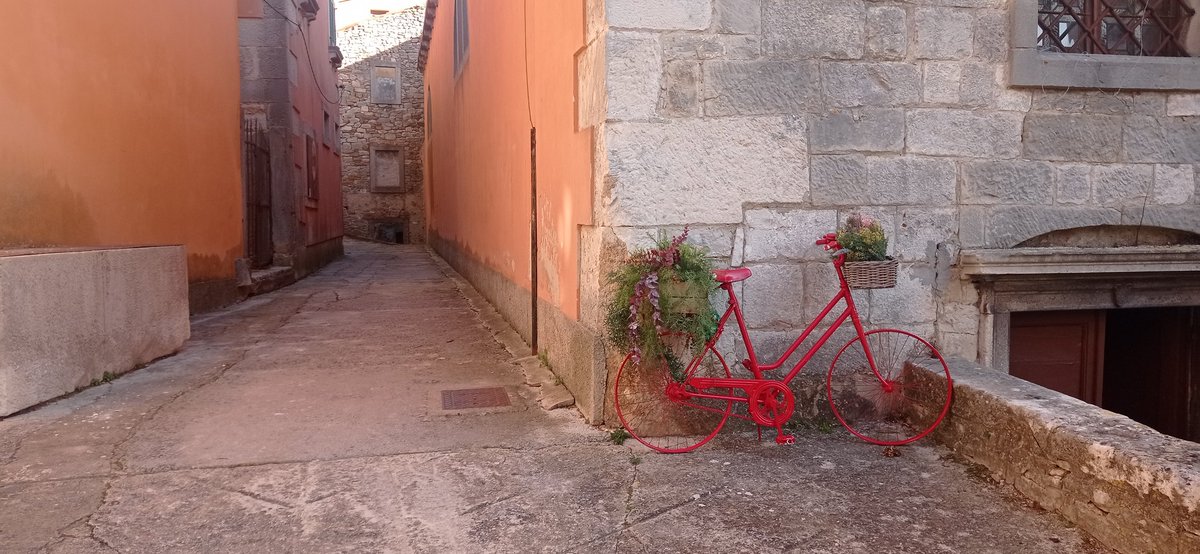 Sandra_Ri051's tweet image. #Labin