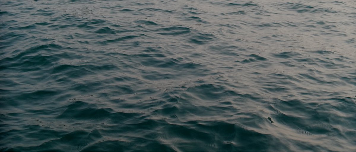 Meet me where the sky 🌫 touches sea🌊
<a href="/techie_tom/">Kash!</a>
@BermudaUnicorn @bermcoin
#ocean 
#LifeIsStrange