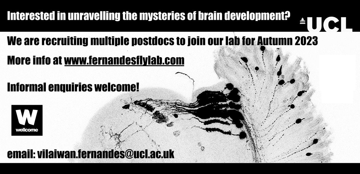 Vilaiwan Fernandes (@fernandesflylab) on Twitter photo 