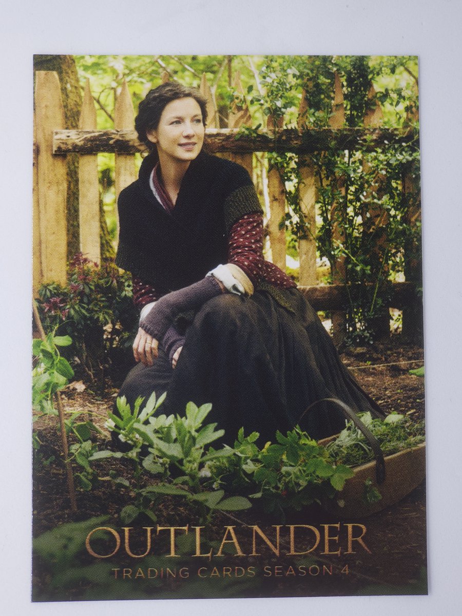 Renegade_City's tweet image. $50 Non Sport Mixed Trading Card Collection renegadecity.com/store/ #whatdoyoucollect #whodoyoucollect #shortprint #autograph #sketch #rickandmorty #outlander #renegadecity.com