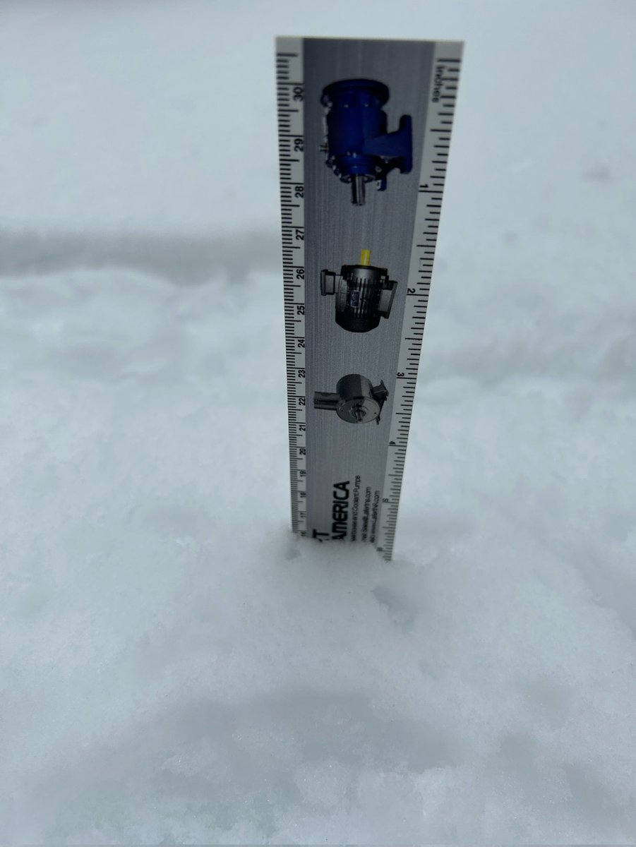Yep, the ruler has confirmed. It's a LOT of snow. #ONstorm