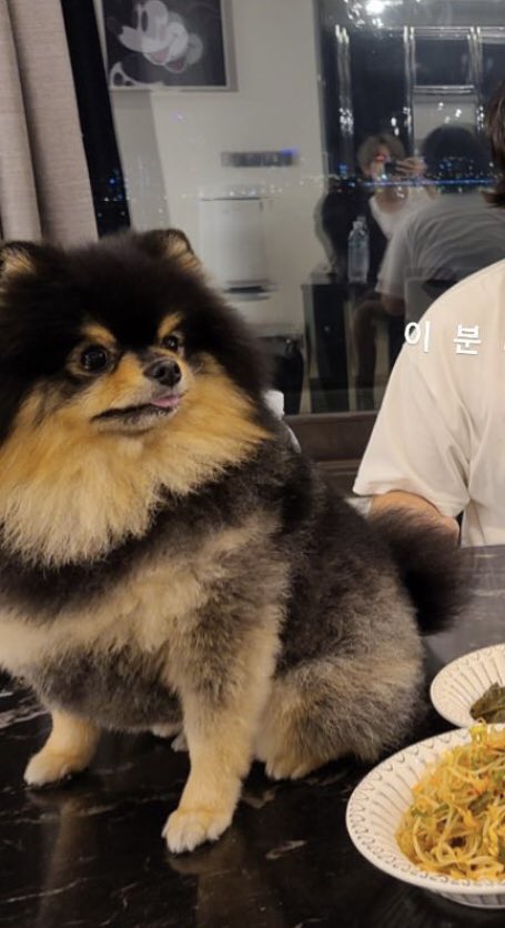 ในที่สุด!!!!!!!หนอนบุ้งของพี่ ฮือออออในที่สุดก็ได้เห็นหน้าแล้วววว ตัวจ้ำม่ำมากลูกเอ้ยยยยย