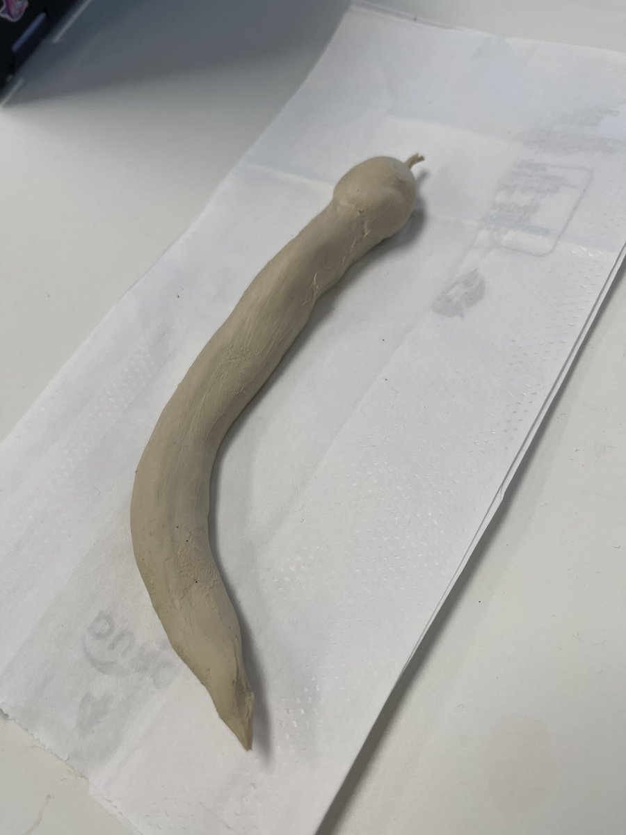 Polly_Mybas's tweet photo. Kid made a snake at work yesterday @gemini_jack_ https://t.co/beJffiFCr6
