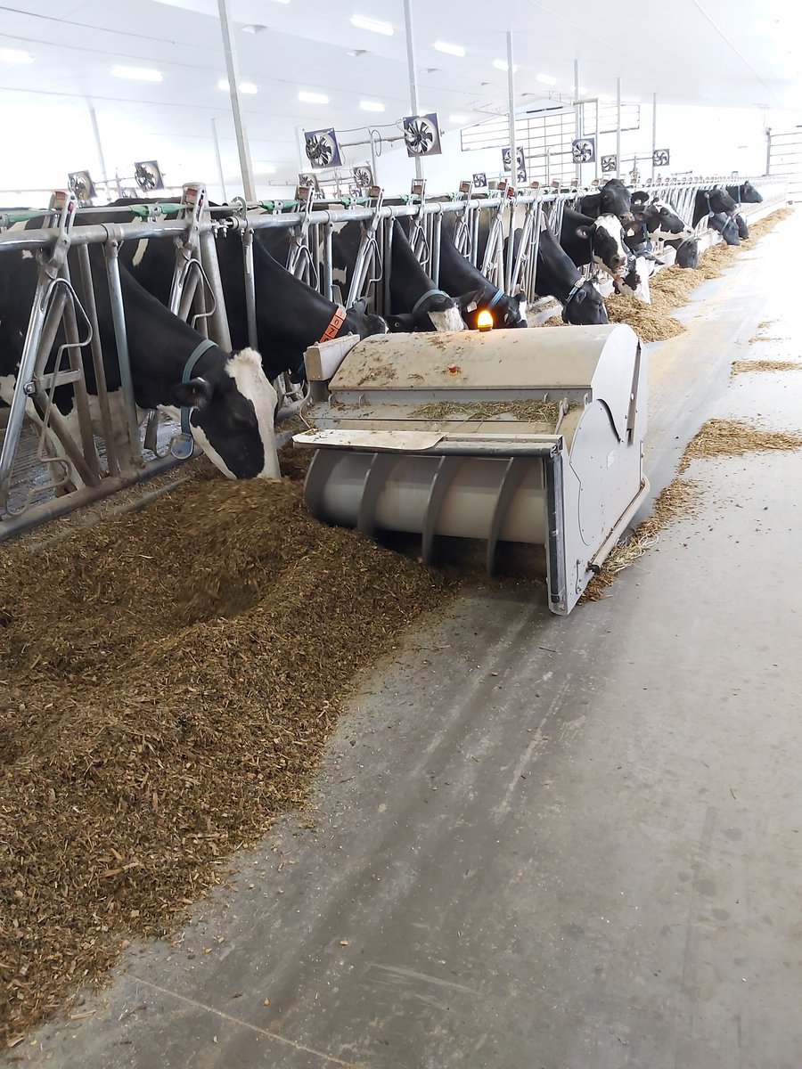 BrubakerDan's tweet photo. Bosdale Farms is one of the stops on Waterloo County Car Tour. Be sure to come by and see this beautiful farm @NorwellDairy @HolsteinOntario @DeLavalCanada #dairydonewell https://t.co/SydPwYp3NU