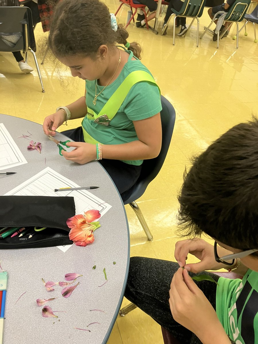 TropicalESch's tweet photo. 5th Grade working on their lab - Flowering Plants and their Cycles. Thank You to Cypress Gardens Florists for the flowers! https://t.co/tNtZ2MIrRg