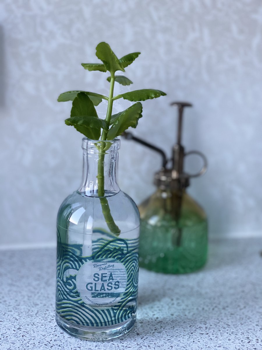 DeernessDistillery tweet media