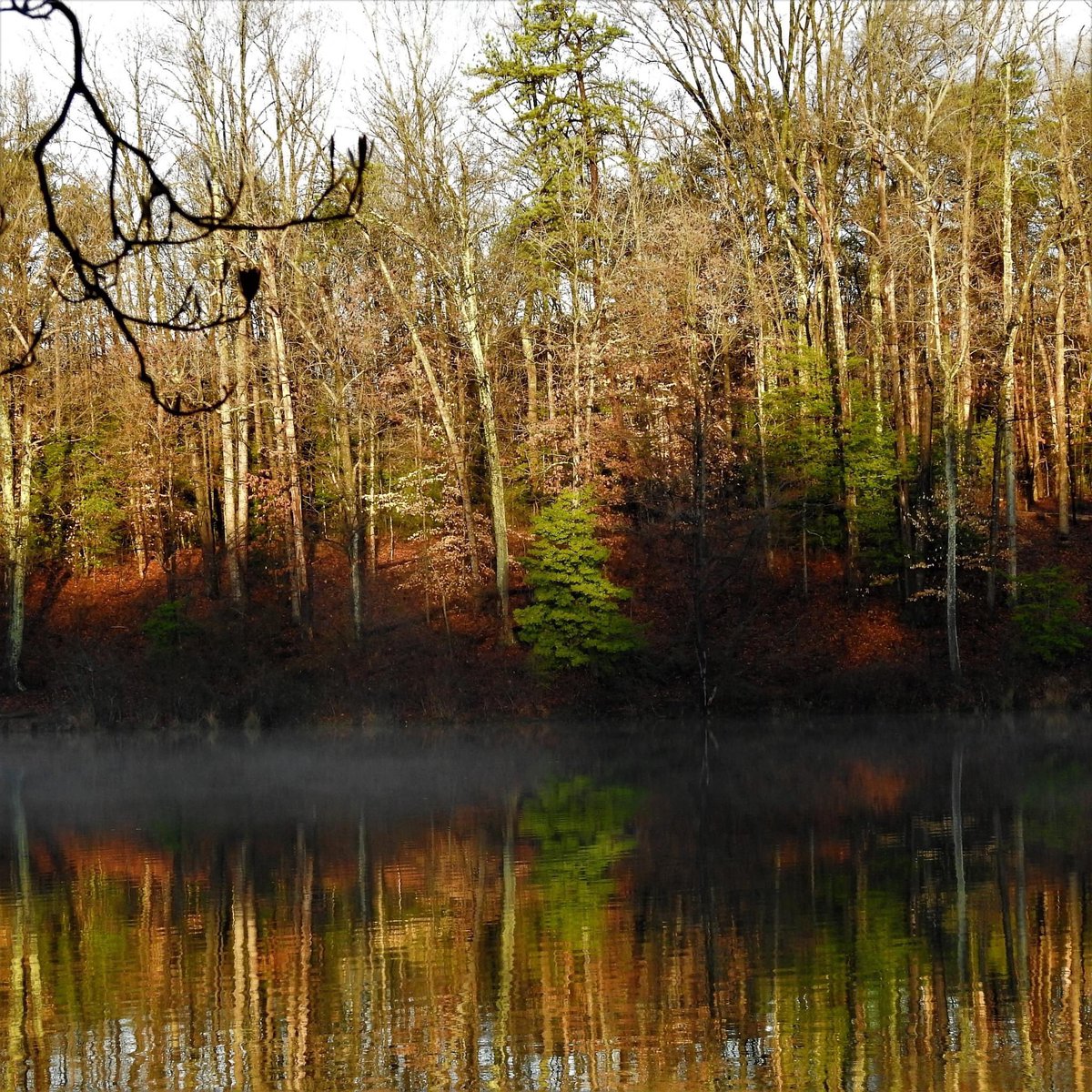 DianeWillen's tweet photo. Saturday Morning in Fairfax, Virginia.

No snow but clouds and wind to enjoy..
#getoutside 
#fairfaxcountyparks
#royallake 
@capitalweather https://t.co/Afdqk6eg2J