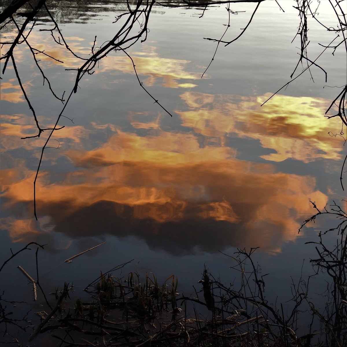 DianeWillen's tweet photo. Saturday Morning in Fairfax, Virginia.

No snow but clouds and wind to enjoy..
#getoutside 
#fairfaxcountyparks
#royallake 
@capitalweather https://t.co/Afdqk6eg2J