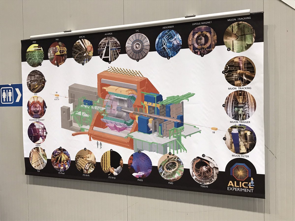 WHS Science tweet media