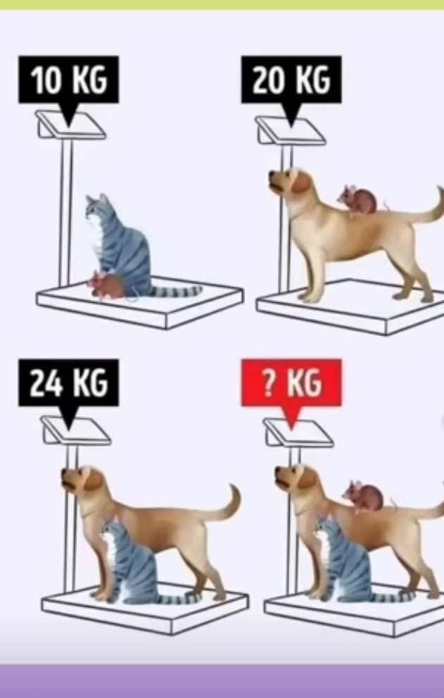 Sanath Weerasingha tweet media