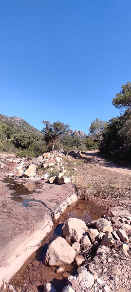 Tenim uns camins per la #SerraEspadà i uns castells...

#Alfondeguilla: camí del Bovalar i, al fons, el castell de Castro.