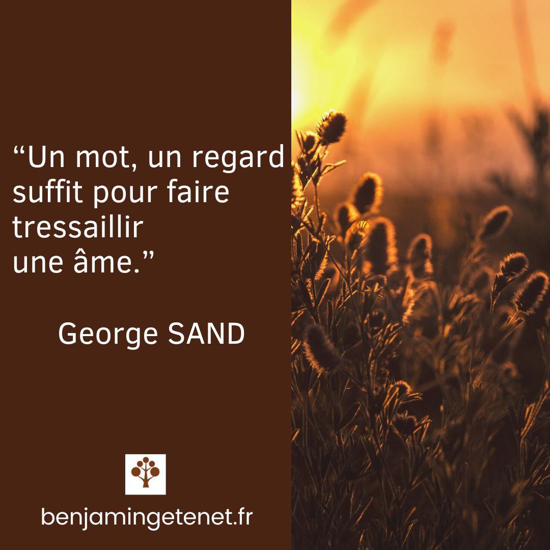 J’aime beaucoup cette citation de George Sand. En dix mots très simples, cette grande romancière résume cet instant incroyable de la prise de conscience, de la révélation. 

#citation  #quote  #quoteoftheday  #prisedeconscience #psychologie 
#psycho #psy #therapie #mentalhealth