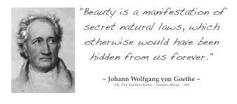 Johann Wolfgang von Goethe was a German poet, playwright, novelist, scientist, statesman, theatre director, and critic. His works include plays, poetry, literature, and aesthetic criticism, as well as treatises on botany, anatomy, and colour. Wikipedia
Born: August 28, 1749, Goethe House, Frankfurt, Germany
Died: March 22, 1832, Weimar, Germany