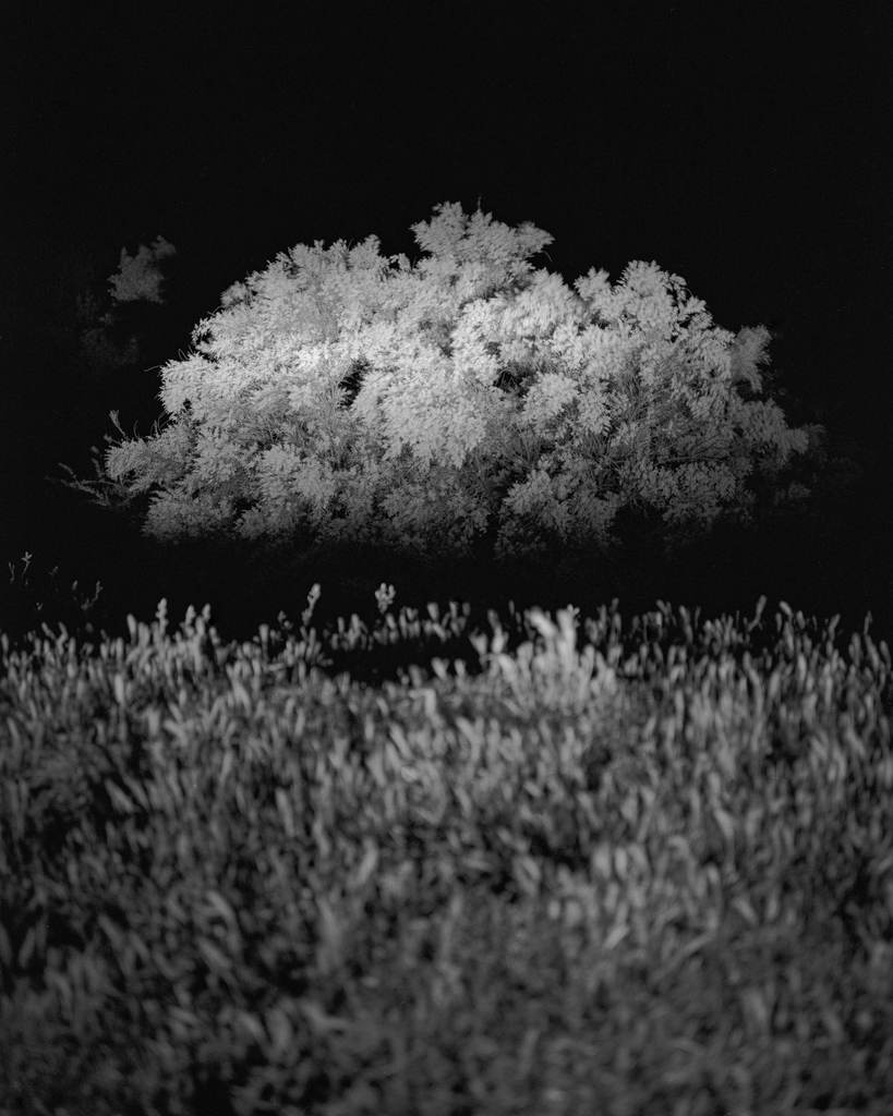 MERT ACAR 
'Cloud'
2020
Cloud is a photograph from Absence series. The series highlights the borders of absence and spatial ambiguity in the focus of what remains of landscape, space, place, structures and surfaces. 

Collect
uncontaminated.co/artworks/4356/…