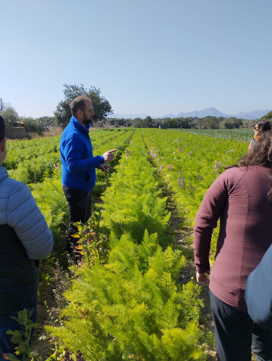 Hoy hemos impartido clase en <a href="/Master_AE_UB/">Máster Agricultura Ecológica UB</a>.
Es una de las visitas anuales que le tenemos más cariño.
Hace tiempo fuimos alumnos, hoy compartimos lo que hemos aprendido.
Intentando hacer ver que es posible el cambio.