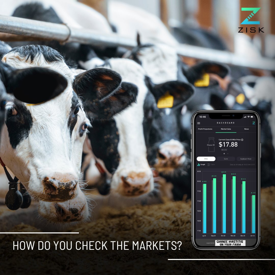 ZiskApp's tweet photo. Are you missing out on the easiest way to check the markets? With Zisk you have access to class III Milk, class IV Milk, corn, and soybean meal in the palm of your hand! 

Download now: https://t.co/q8D3JKDSnt https://t.co/27nre8aUCP