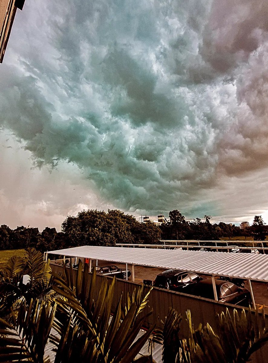ivansoueu's tweet photo. E tem chuva chegando aqui em Joinville! Se cuidem pessoal que ela vem forte!

#joinville #joinvillesc #nsc #rain #Sky https://t.co/TmkLAfmpvG