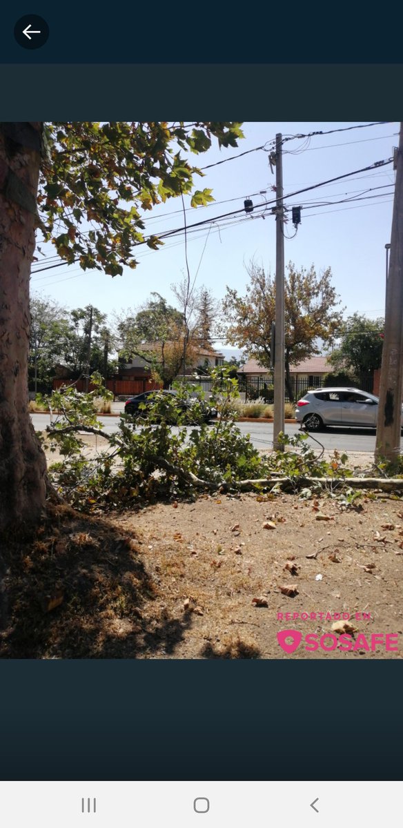 HiruChatlani's tweet photo. @EnelChile
@Enel_Informa_CL
Tengo emergencia de corte de cable por caida de Tronco... hay cable cortado con luz corriente... nro
487647-4
Fue reportado tambieb por sosafe.

@danielapenaloza 
@Muni_LasCondes 
@EmergenciaLC 
@Muni_LasCondes 
@Muni_LasCondes https://t.co/7ud9j2iIsU