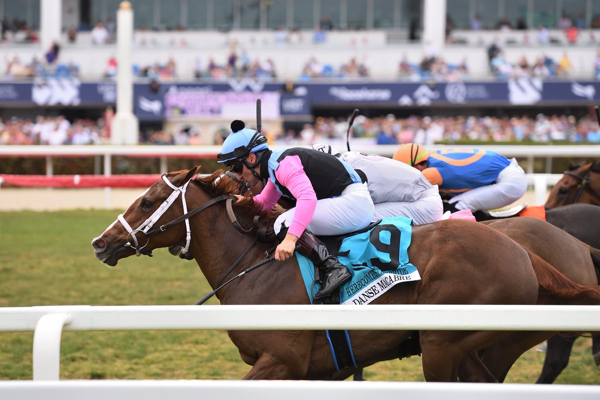 Danse Macabre upsets the Herecomesthebride Gr.3, <a href="/ABeschizza/">Adam Beschizza</a> in the stirrups for trainer <a href="/Kelseydanner/">kelseydanner</a> and owner NBS Stable. #GulfstreamPark #ChampionshipMeet