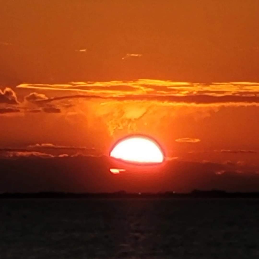 april_aka_AP's tweet photo. Photo dump. โ๏ธ๐ค #floridasky #TampaBay ๐ด๐๐ #latergrams ๐ธ #sunset ๐
๐๐ #II https://t.co/xmt9fZH03X