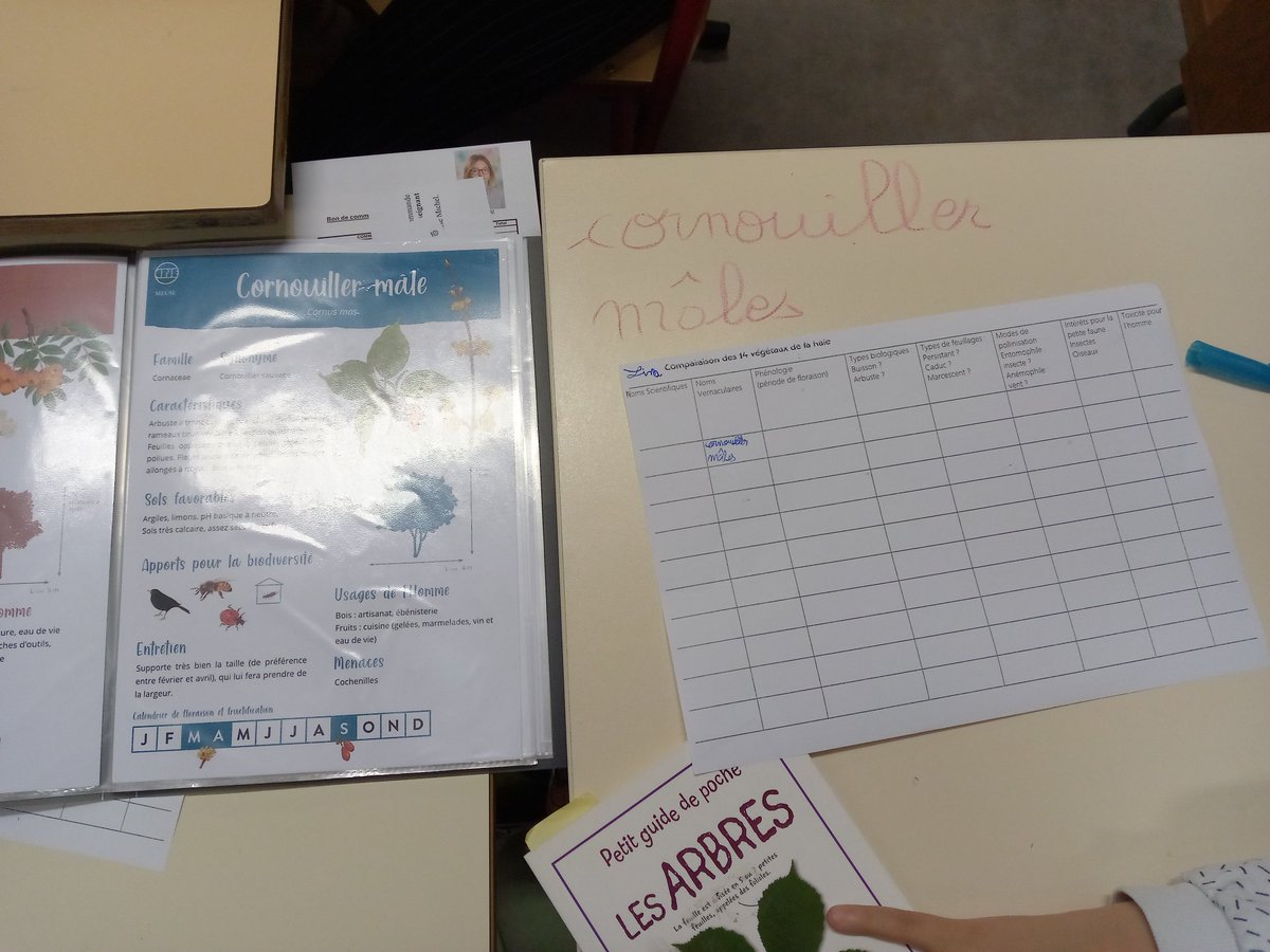 GervasoniAngli1's tweet photo. Intervention #ecomusee Hannonville Ateliers: recherche et comparaison de végétaux à l'aide de documents composites; classification des animaux de la haie; plantation d'arbustes. Lecture, écriture, sciences, EDD lors cette journée riche en apprentissages @DSDEN55 @55_verdun https://t.co/1rOxBhyC8t