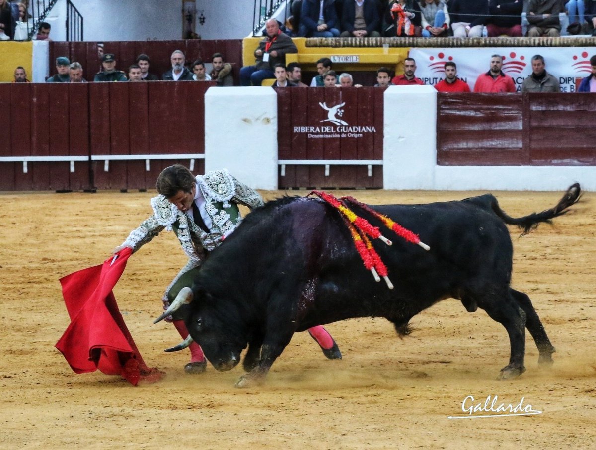 gallardotoros's tweet photo. @elJuli y Olivenza...
Una historia de amor renovada cada Marzo.
@FITauromaquia https://t.co/v3CCte95QH