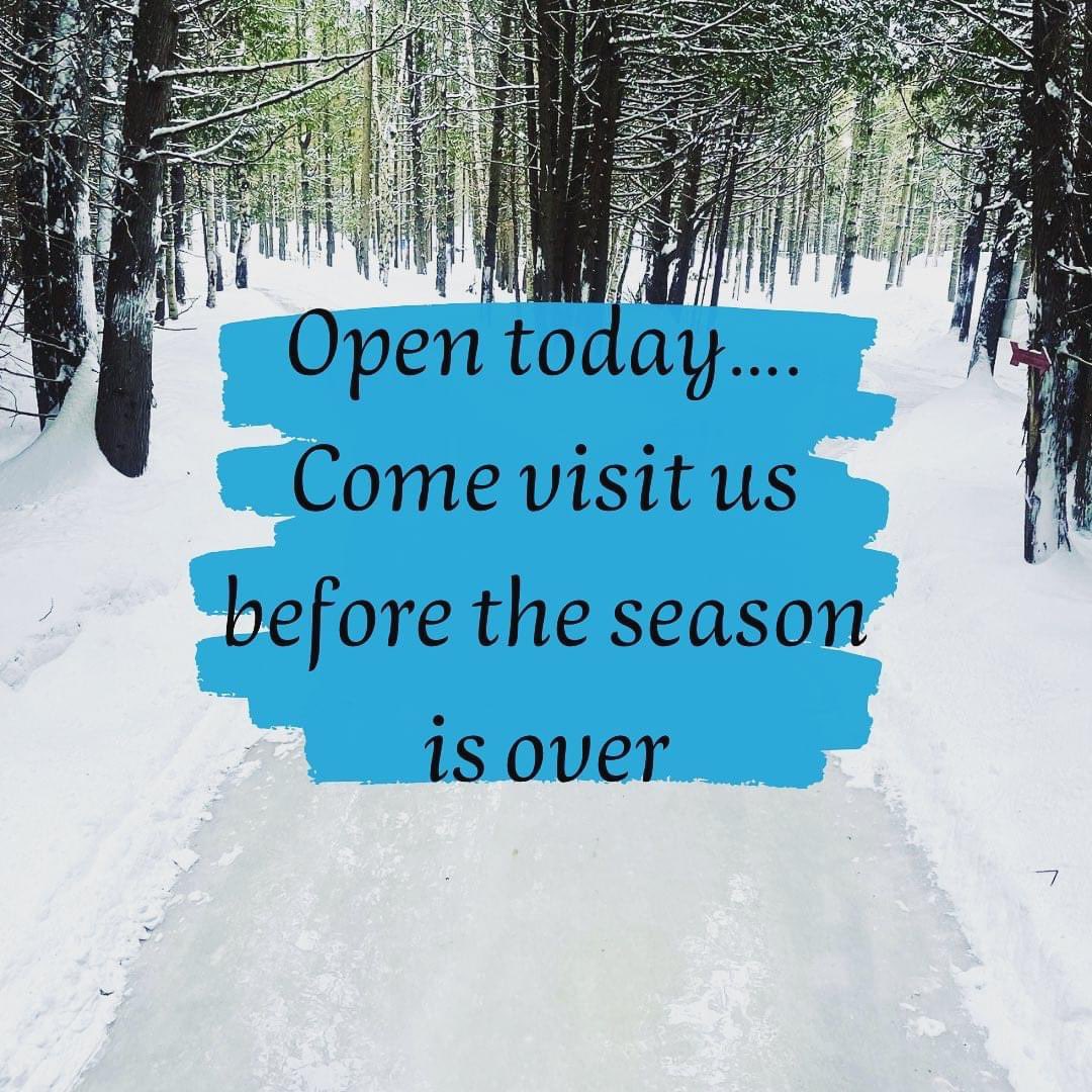 Icelynd Skate Trail (@icelyndtrails) on Twitter photo 