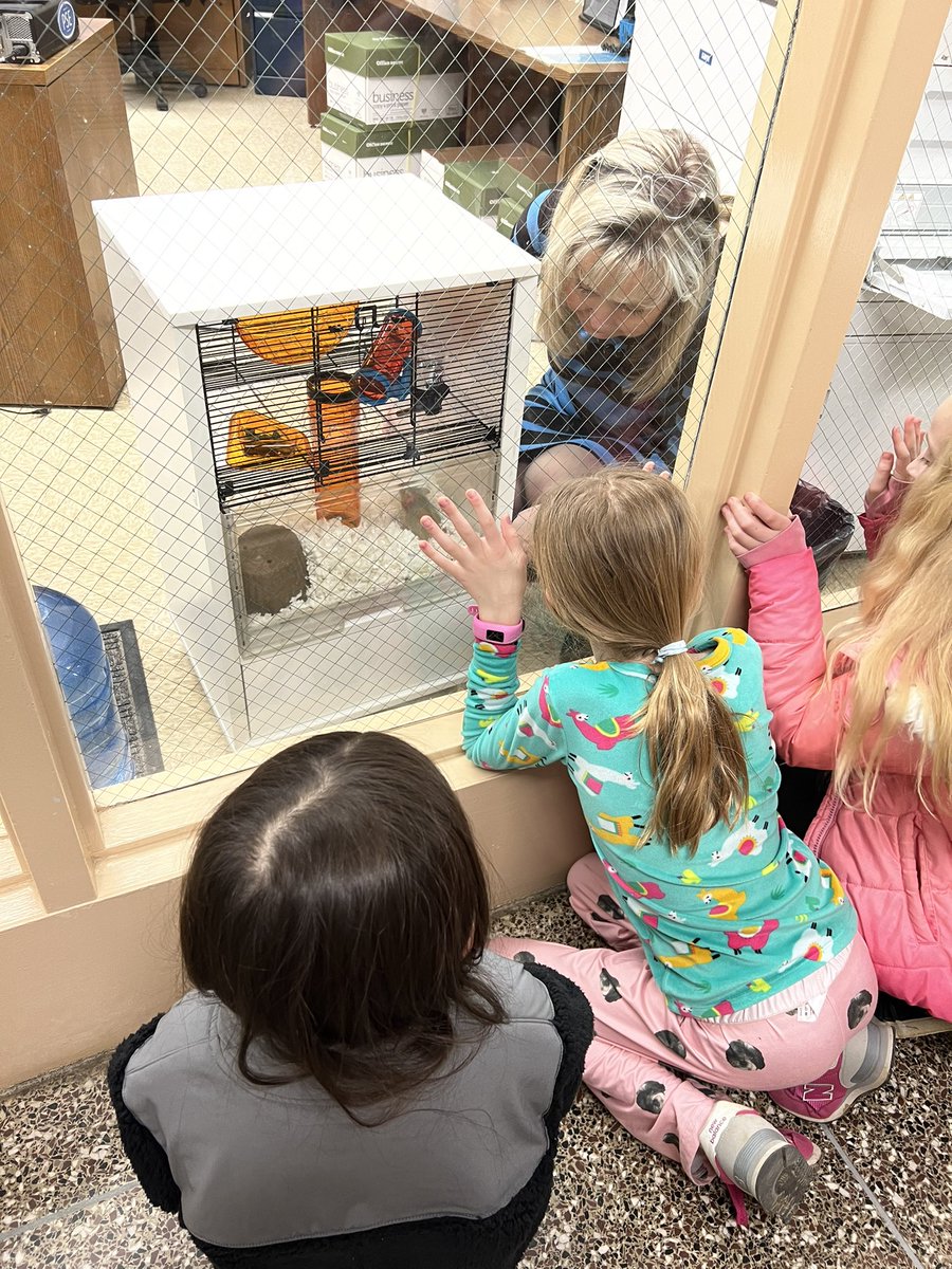 We loved having Humphrey visit our classroom! The kids are loving OSOB! <a href="/PotSpringEl/">Pot Spring</a>