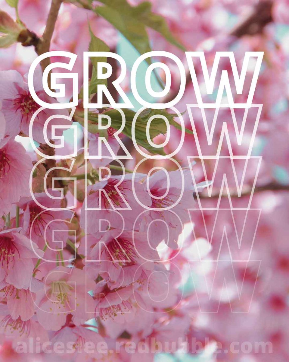 GROW (above) - Pure Pink Floral Blossoms
~
GROW. Exceed Expectations.⁠
~
Link to Shop in Bio or⁠
Buy Here: rdbl.co/41NBfeo
~
#flowerblossoms #growthmindset #grow #redbubble #redbubbleartist #aliceslee #buyart #inspirationalposter #motivationalposter #artprint #poster
