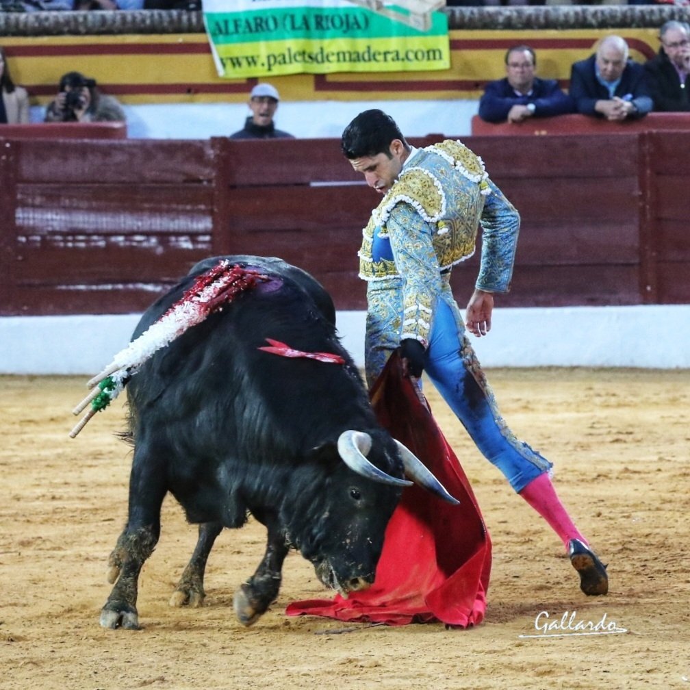 gallardotoros's tweet photo. @aletalavante es magia, arrebato, pellizco...
El que te levanta del asiento y te deja ronco de jalearlo...
Que grande. https://t.co/lEDtcj8SEt