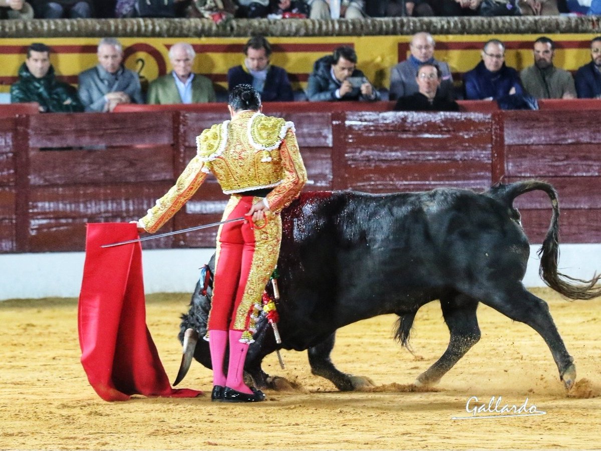 gallardotoros's tweet photo. @EmiliodeJusto no ha podido estar mejor con su lote.
Sigue y sigue creciendo.
Cuantas alegrías nos esperan con éste torero. https://t.co/KqMRmhhJl9