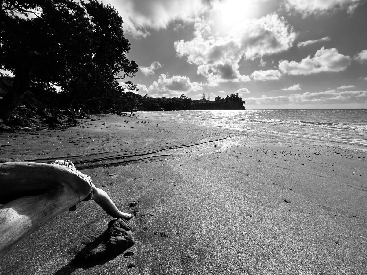 #blackandwhite #littlemanlybeach #hibiscuscoast #northisland #NewZealand #sundaysbelike 👌😎🇳🇿❤️