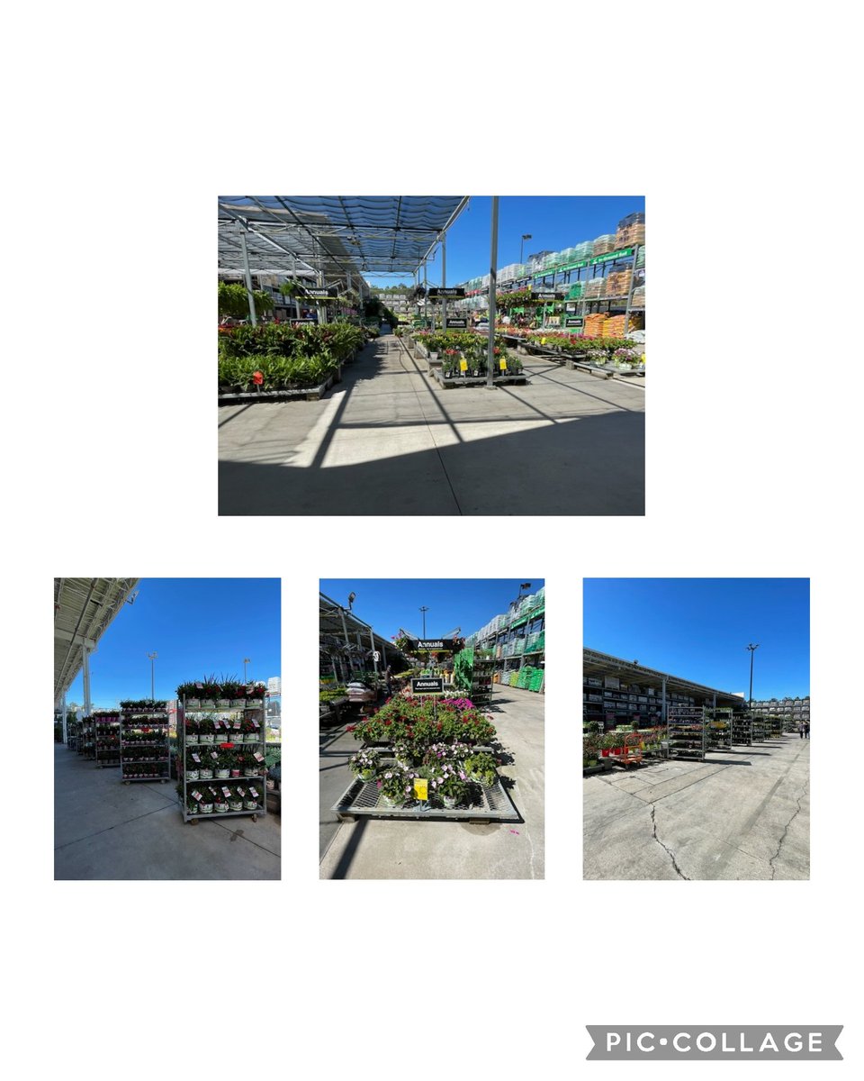 Spring at #HD0365 in full effect!