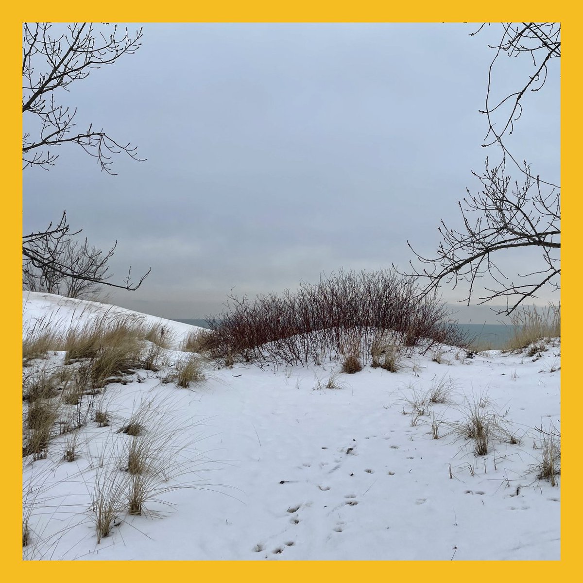 Chicago Studies tweet media