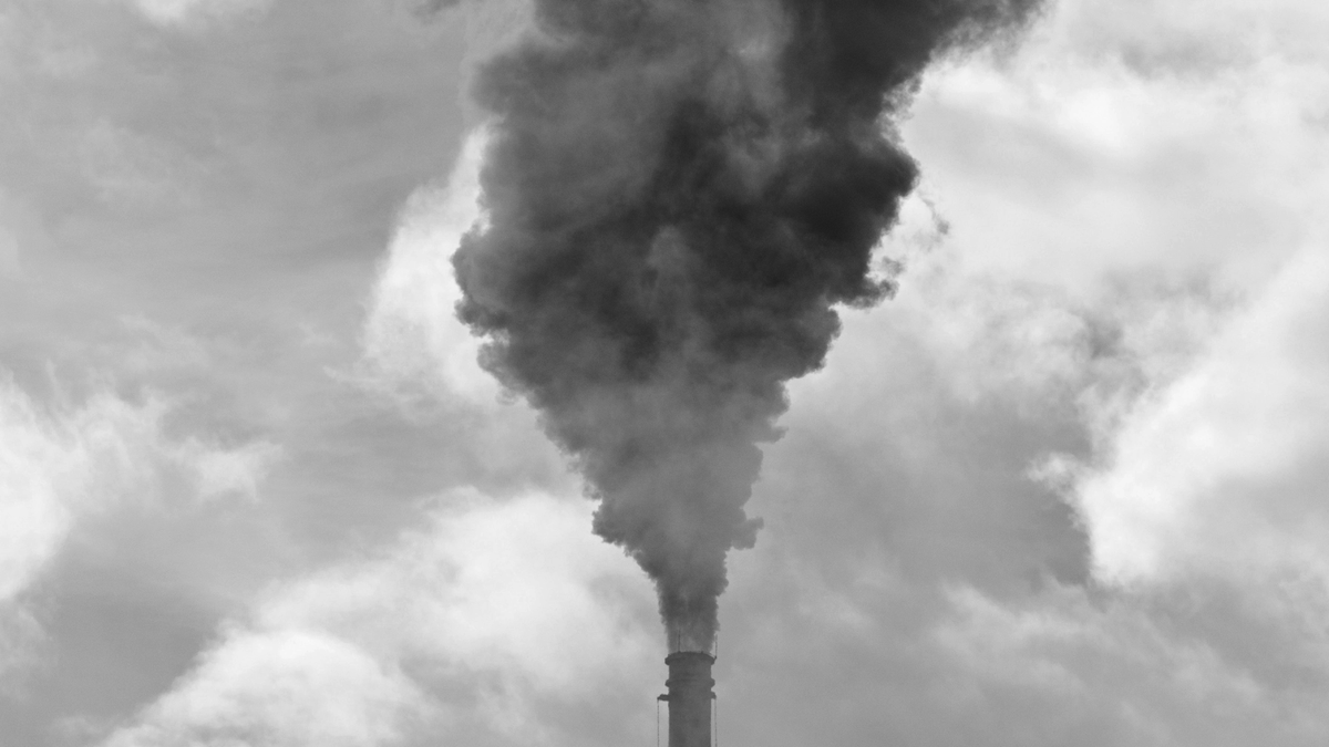 VisionCulture's tweet image. The perilous state of our natural world is enough to induce #anxiety and distress in all but those who refuse to see. Is there any reason for hope? buff.ly/3Amww6x #stress #future #Environment