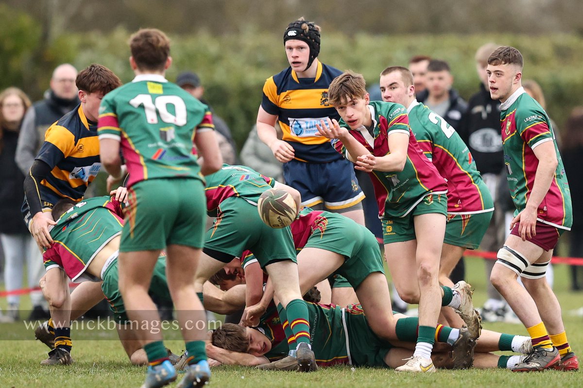 Nick B Images tweet media