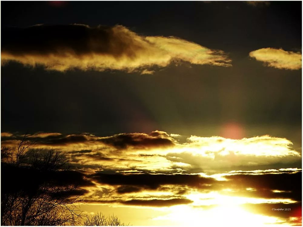 The changing March weather across #Limerick