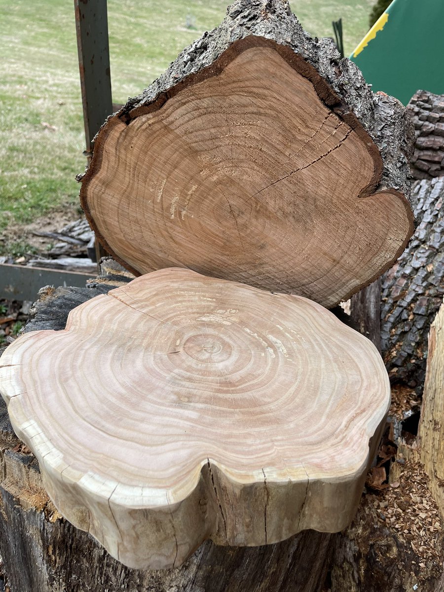 SBullaj's tweet image. Weekend project, I have this old Peach tree trunk and working on making some steps tools out of it, will se how turns out #woodworking #woodcarving #weekendprojects